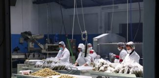 Industria e agropërpunimit/ Çuçi: Fondet e Skemës Kombëtare dhe IPARD-t ndihmuan shumë sipërmarrje