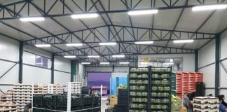 Prodhimet bujqësore shqiptare shënojnë rritje/ Balla: Konsumoni sa më shumë “Made in Albania