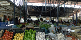 QYTETARËT VLERËSOJNË KUSHTET E TREGUT AGROUSHQIMOR (VIDEO)