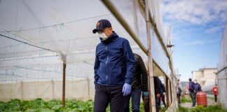 ELBASAN/Prodhimet bujqësore shqiptare shënojnë rritje/ Konsumoni sa më shumë prodhime “Made in Albania”