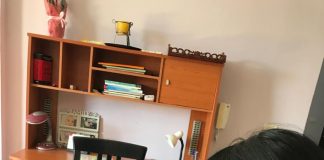 Elbasan: Video/Veshjet popullore, kreativitet online i mesuese Florencës