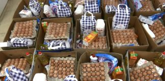 SOLIDARITET NË KOHË PANDEMIE