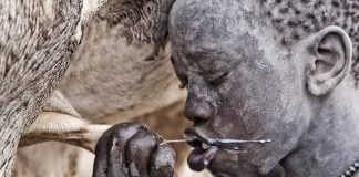 Në brendësi të fisit Mundari, aty ku mendojnë se urina e kafshëve të mbron nga infeksionet