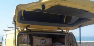 Për shqiptarët dhe grekët! Kohë pandemie, komuniteti shqiptar në Kretë u shpërndan ushqime familjeve në nevojë