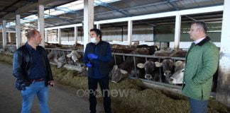 Brenda një muaji fermerët do nisin aplikimet për fondet e buxhetit