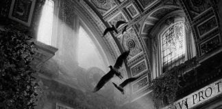 Fotot/ Si do të duket bota nëse karantina nuk do të marr fund