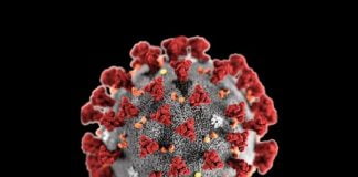 FOKUS – Bilanci i pandemisë së COVID-19 në botë