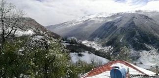 Dëborë në pranverë, fermerët të shqetësuar për pasojat në frutikulturë