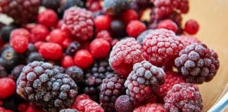 Ngrirja e Duhur e Boronicave dhe Manaferrave