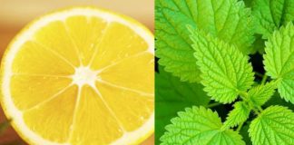 Hithra Me Limon, Trajtimi Natyral Kundër Anemisë