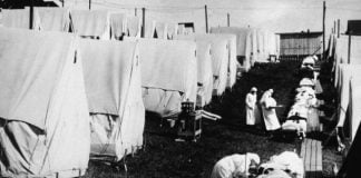 Artistë dhe shpikës, që ndryshuan botën nga dhomat e karantinës