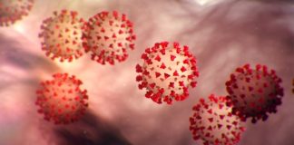 Shkencëtarët zbulojnë se si Covid-19 gjen rrugën për t’u futur në trupin e njeriut