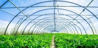 Kontratat me IPARD/ Ministria e Bujqësisë: Subjektet, asnjë penalitet për shtyrjen e afateve