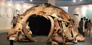 Shkencëtarët zbulojnë strukturën 25,000-vjeçare të ndërtuar me kocka mamuthësh