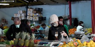 Blini produkte vendase/ Jane cilesore, ndihmoni ekonomine tone