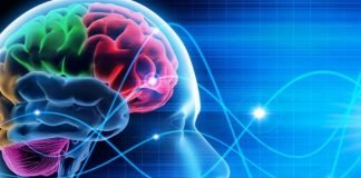 Ndikimi i mbipeshës në plakjen e trurit