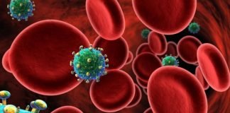 Analiza e gjakut/ A mund të përcaktojë nëse jemi infektuar nga COVID-19?