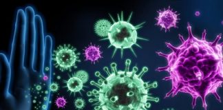 Njihuni me 4 produkte të kuzhinës që po të dobësojnë imunitetin