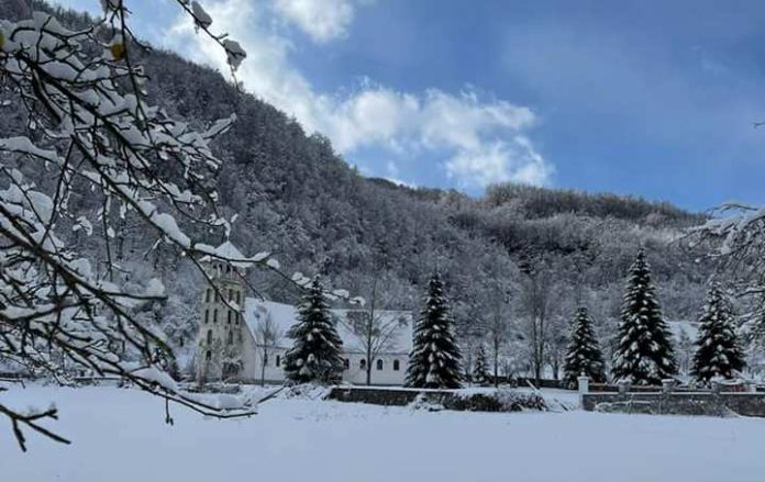 16E8C6CC-6155-41C7-B7E4-8298C2B55115