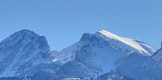 Gjurmët e kafshëve të egra në bardhësinë e Tomorit, dëshmi e biodiversitetit