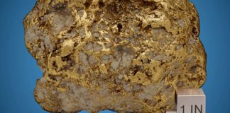 Sa u shit copa nëntë kilogramëshe e arit?