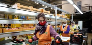 Shqipëri- Norvegji, nxitje e eksporteve për produktet e origjinës