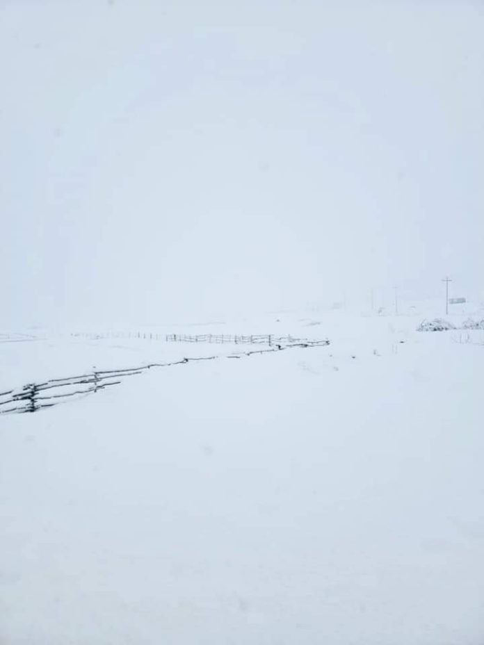 FB_IMG_1639302388346