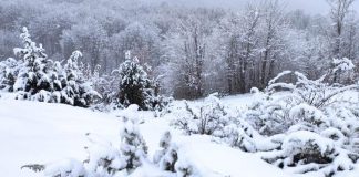 Moti i keq, Ministria e Mbrojtjes: Situata nën kontroll