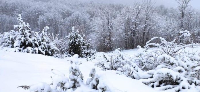 FB_IMG_1639302395768