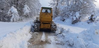 Parashikimi i motit/ Java nis me diell por e ftohtē