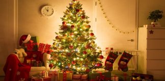 Historia 600-vjeçare: Si lindi Pema e Krishtlindjes