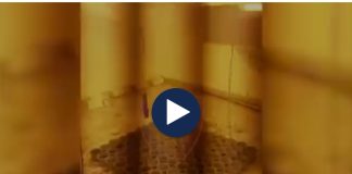 Laborator droge, si rritej kanabisi me llamba dhe ngrohje brenda apartamentit