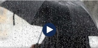 Parashikimi i motit/ Java nis me reshje dhe temperatura deri 20 gradë