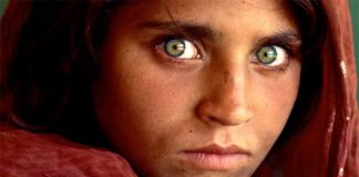 FOKUS – Afgania e famshme e ”National Geographic” merr statusin e refugjates