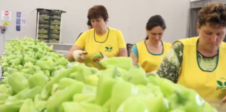 “Ballkani i Hapur”, 30 dokumente teknikë për nxitjen e eksporteve agroushqimore