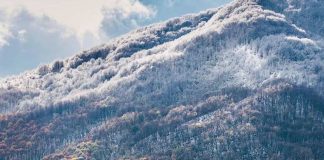 Parashikimi i motit, 8 dhjetor 2021