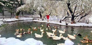 Parashikimi i motit, 7 dhjetor 2021