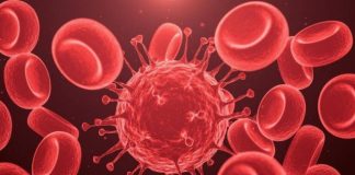 Çfarë është mpiksja e gjakut?