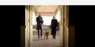 Qeni i ri i presidentit Biden quhet… Komandant!