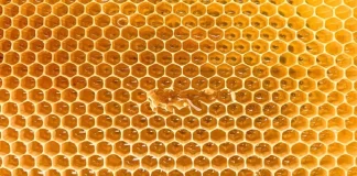 Të mirat e panjohura të mjaltit të papërpunuar