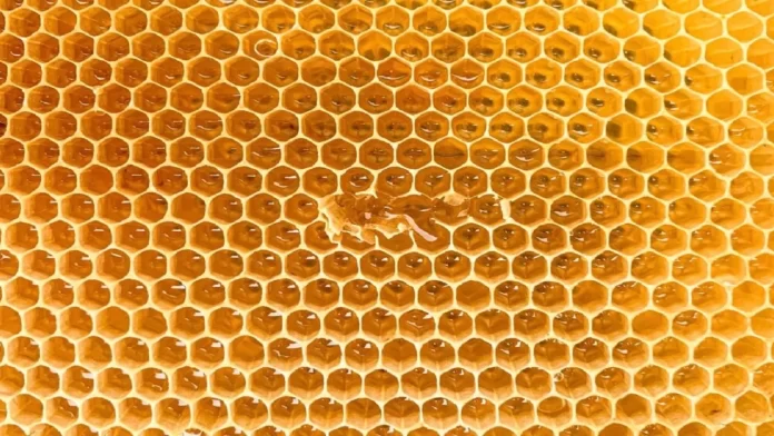 01BE2C46-BE97-4E96-B976-DBDC8218448A