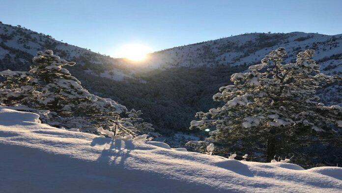 463EA413-1348-47EE-8394-E4E9B40615C6