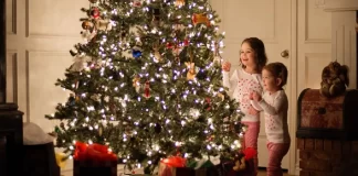 Le ta sqarojmë njëherë e mirë, ja se kur duhet të hiqet pema e Vitit të Ri!