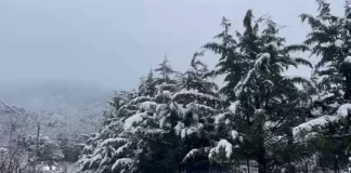 Borë dhe temperatura të ulëta deri në -6 gradë, parashikimi i motit