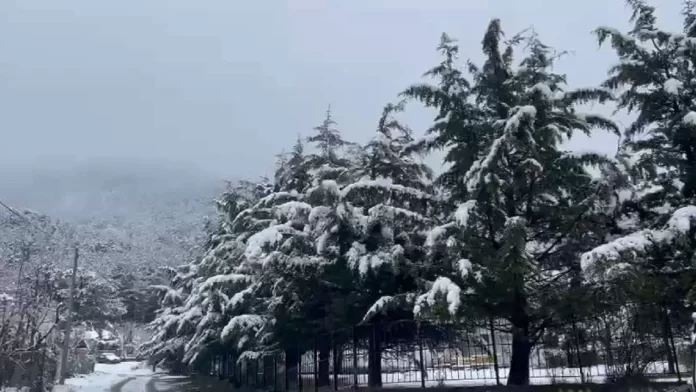 CB834EDF-2E6B-4146-994A-A00E31706AEB