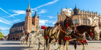 Ku të udhëtoni në 2023?! Destinacionet më të mira për t’u vizituar