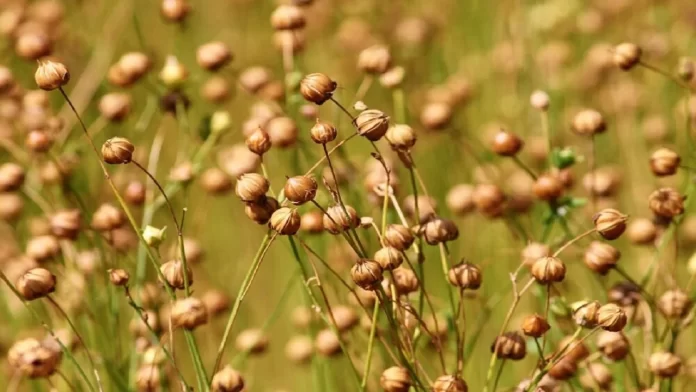 D899920D-AB14-4ED7-9680-02F27E5D131C