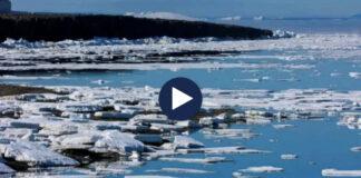 Analiza/ Oqeanët ishin më të ngrohtë në vitin 2022!