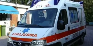 Bie nga lartësia teksa krasiste pemët në banesën e tij, ndërron jetë 63-vjeçari