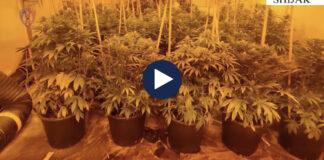 Tuba, llamba dhe kanabis/ Shtëpi bari në Shijak, zbulohet arsenal armësh i fshehur në mur të dyfishtë, përdorej nga grup kriminal